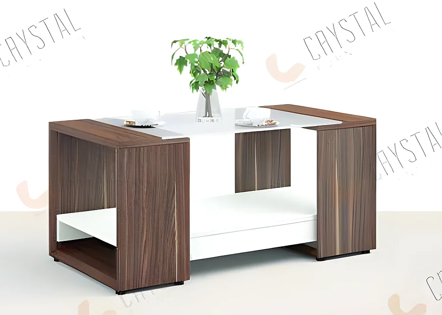 CNT-221