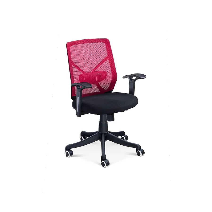 E-104 (Black Back)