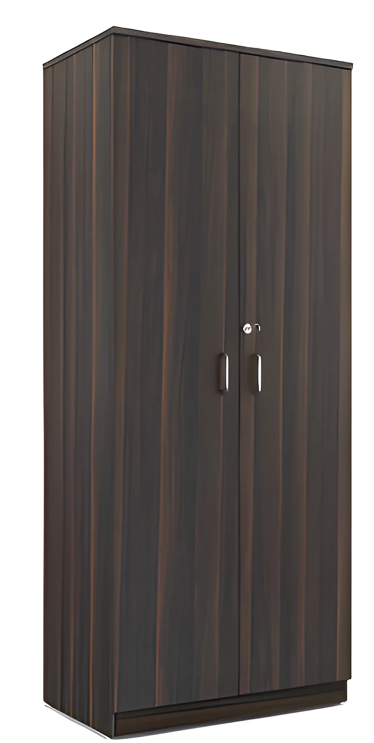 Full Height Storage with 2 Door