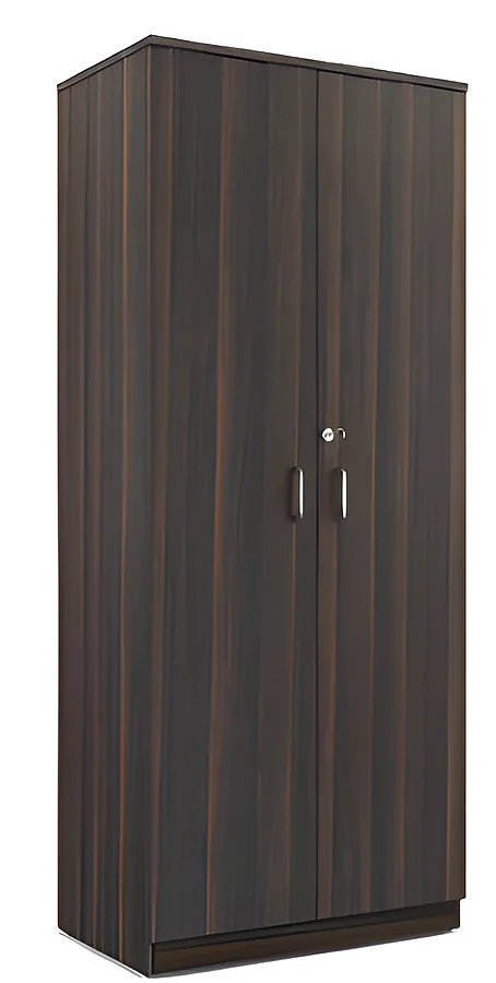 Full Height Storage with 2 Door