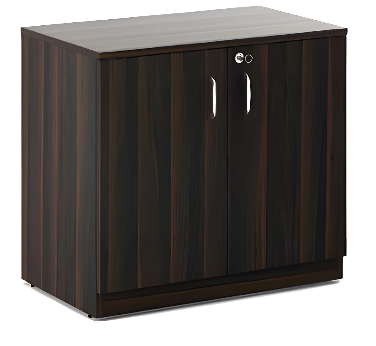 Low Height Storage with 2 Door