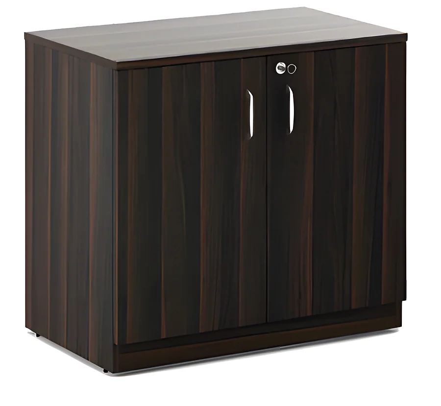 Low Height Storage with 2 Door
