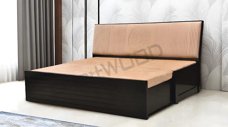 Sofa cum Bed Ts