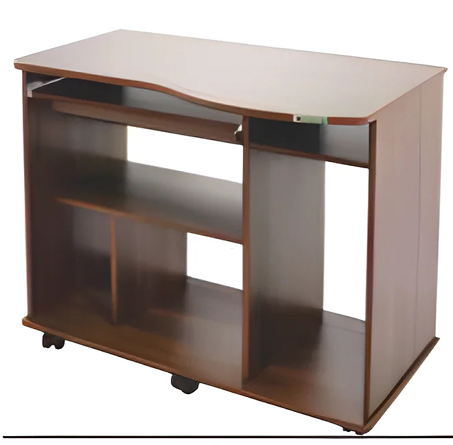 Sw Computer Table 05